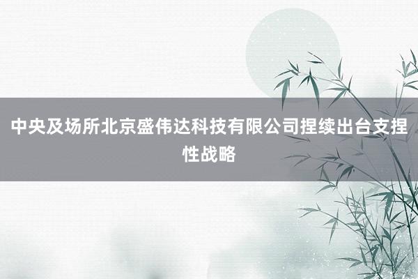 中央及场所北京盛伟达科技有限公司捏续出台支捏性战略