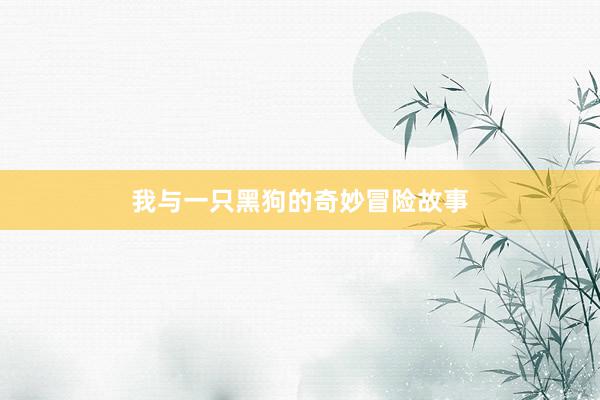 我与一只黑狗的奇妙冒险故事